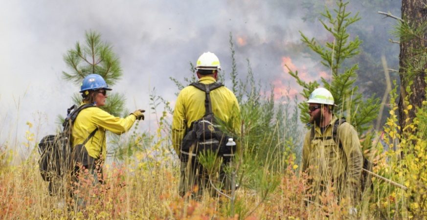 Wildfire & Forestry Workers Join Expanding BCGEU Strike