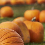 Surrey’s Rachel Matembe Named Top Black Woman to Watch